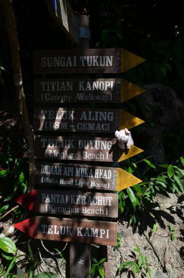 Orientierung....für uns leider kein Canopy Walk... 