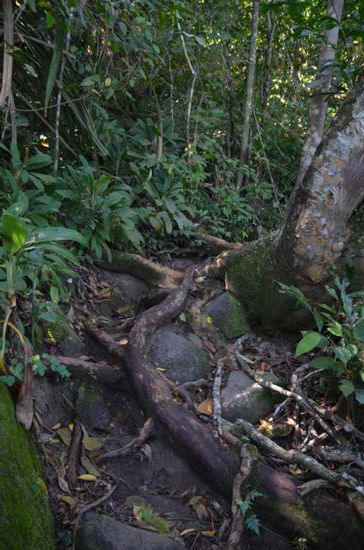 Für FlipFlops manchmal ungeeignet...