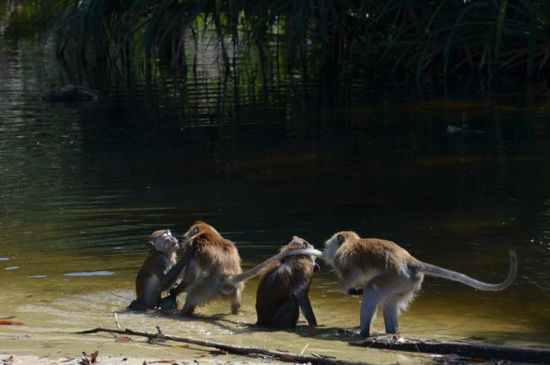 ...toben und spielen...