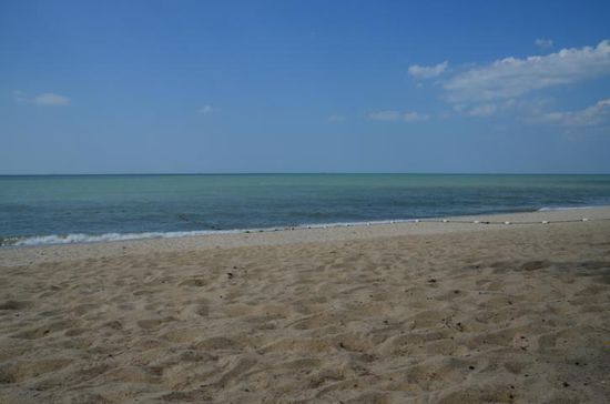 ....sieht doch recht idyllisch aus.... 