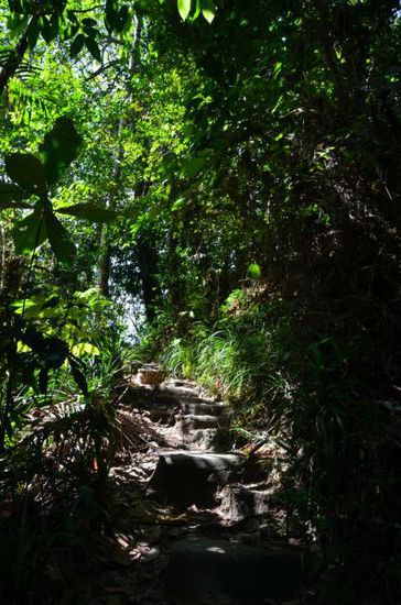 ...noch ein paar Stufen...