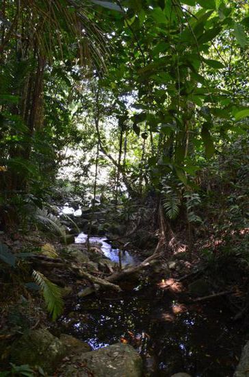 ...ein Bächlein unterwegs...