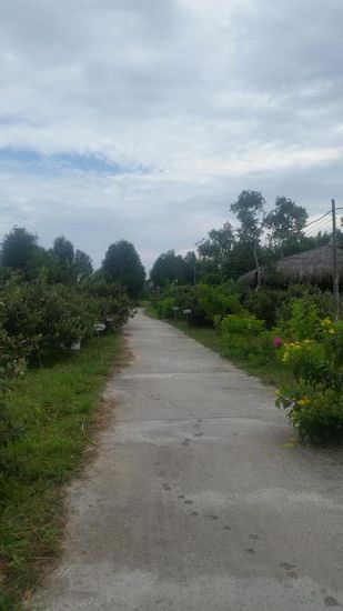 Pepper-Farm