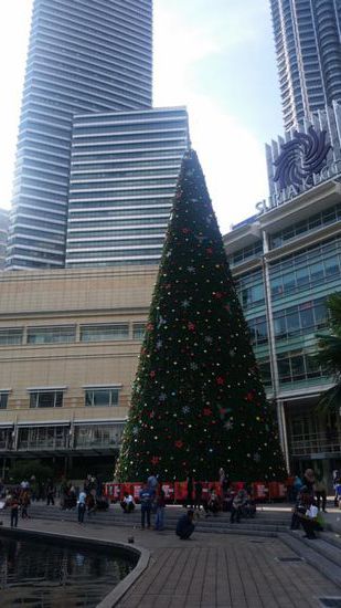 Ein riesiger schöner Weihnachtsbaum....