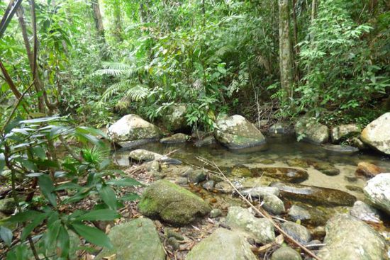 ...und inmitten der Natur ein kleiner Bach...