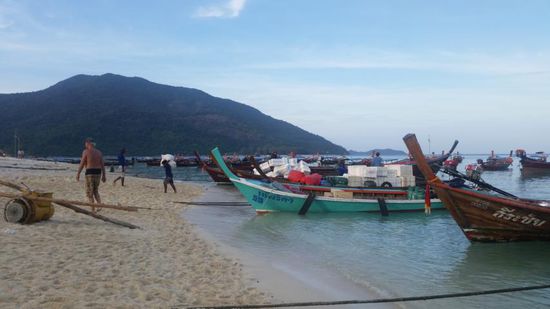 ...wir wollen ja alle versorgt werden 