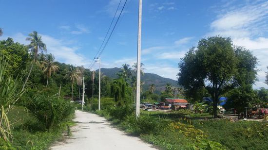 mein täglicher Weg zum Strand