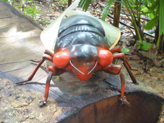 ...drollige Insekten gibt es hier...