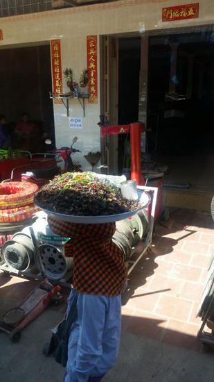 während der Pausen stürmten Verkäuferinnen den Bus um die Reisenden mit Essen zu versorgen - oder man holte sich draußen einen kleinen Insekten-Snack 