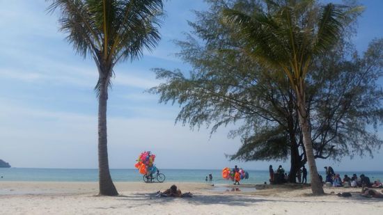 Verstärkung! Noch mehr Badetiere... 