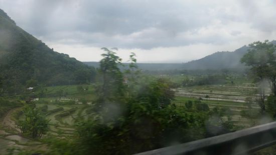 Reisterrassen (besser ging´s nicht  )