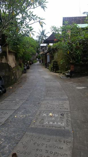 Weg zu den Reisfeldern