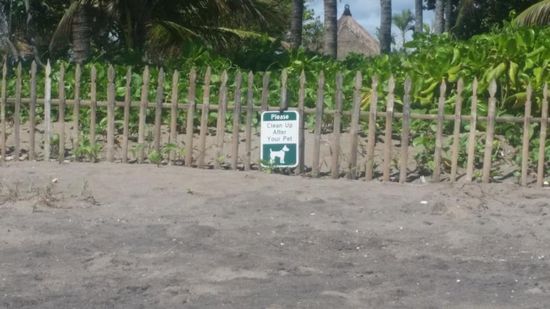....auch bei Müll am Strand gibt es Grenzen: es wird nicht jede Art der Verschmutzung toleriert!!!  