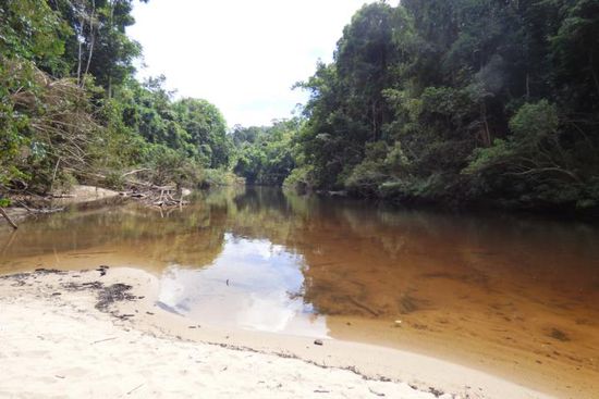 am Lubok Simpon.....