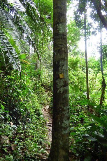 ein kleiner Wegweiser