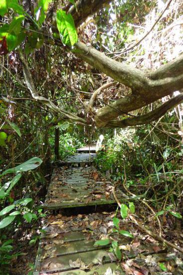 manche befestigten Wege waren auch schwer zugänglich 