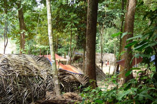 es gibt anscheinend noch ein paar wenige Menschen, die im Dschungel leben - ob diese Siedlung allerdings zu den Orang Asli gehört, weiß ich leider nicht.....