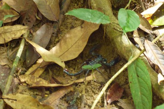 Bei DEM kleinen Freund habe ich mich dann schleunigst aus dem Staub gemacht!! 