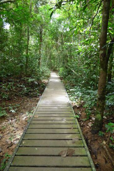 Mann, war ich froh als ich wieder solche Wege unter den Füßen spürte 