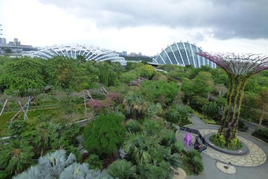 im Hintergrund: Flower Dome und Cloud Forest