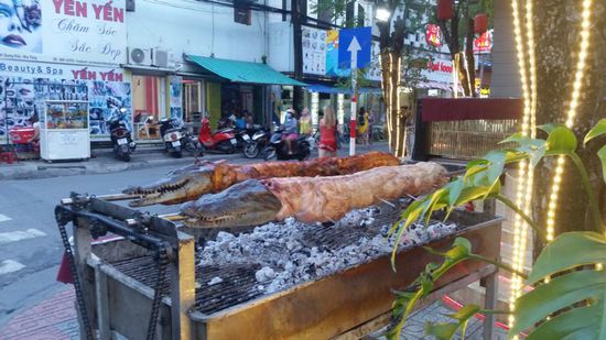 ...neben Kroko-BBQ kann man an anderer Stelle auch Frog-BBQ bekommen... - so ist für jeden Geschmack etwas dabei 