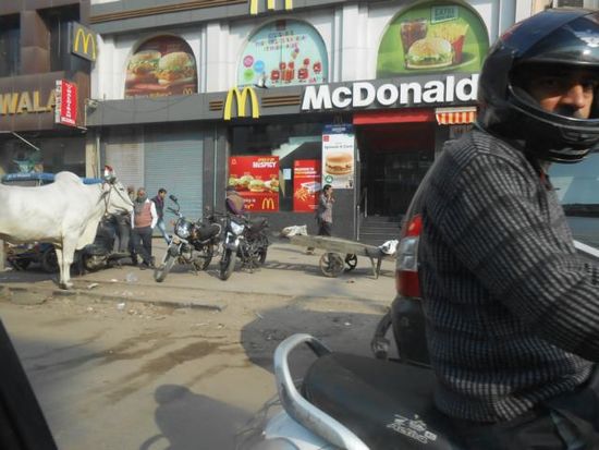 Kuh - McD - finde den "Fehler" ?
