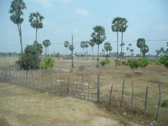 Die Landschaft der Tonle Sap Ebene
