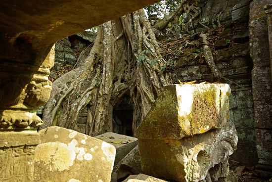 Blick durch eine Mauer von Ta Phrom auf eine weitere Mauer, von der ein Baum schon Besitz ergriffen hat
