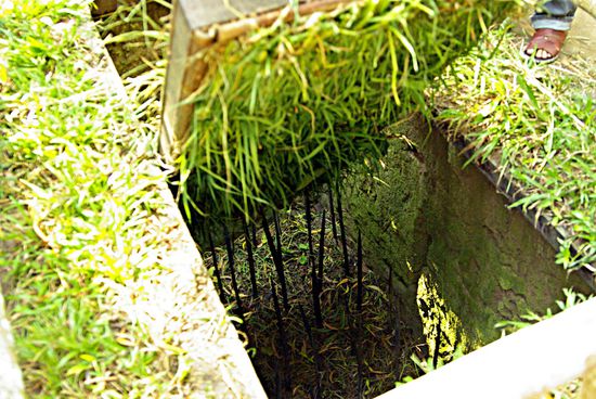 Eine Wippfalle. Ober- und Unterseite sind mit Gras versehen. Tritt man darauf, dreht sich der Deckel und man fällt in die Bambusspitzen.