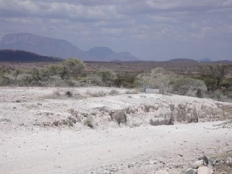 In der Massai Mara.