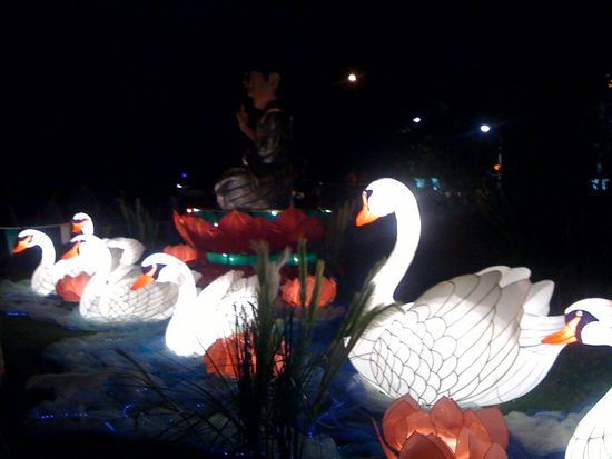 Feierlichkeiten im Park