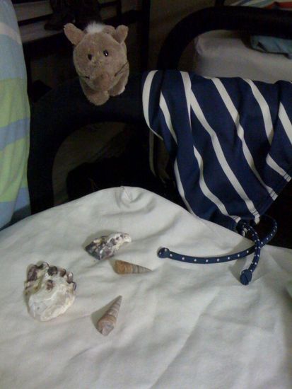 Es war ein schöner Tag, gute Nacht.