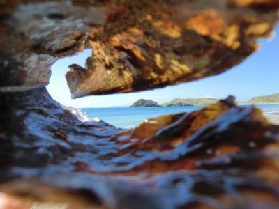 Man kann sie sogar als Fernglas nutzen