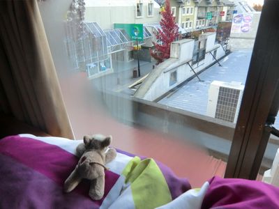Der Ausblick