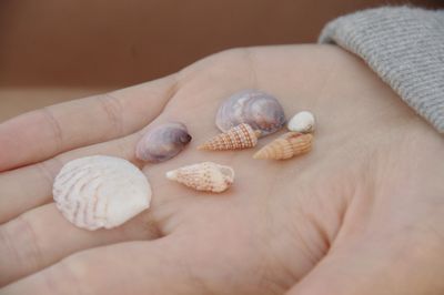 Ein Schild besagte > Bitte keine Muscheln entwenden !
Auch nicht einige ganz kleine Muscheln ?? Ich bringe sie auch zurück..irgendwann !
...vielleicht...