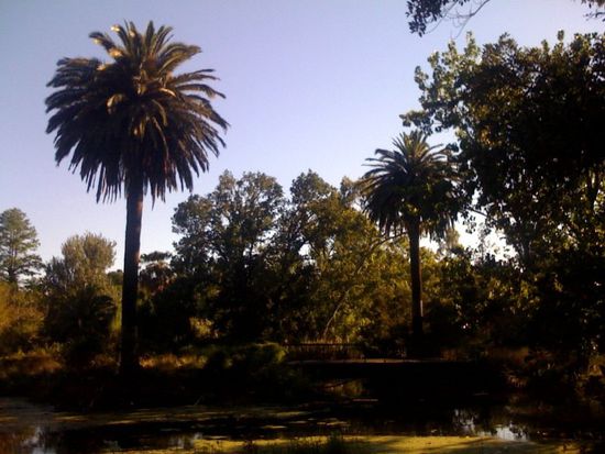 Da waren die Schildkröten..irgendwo..