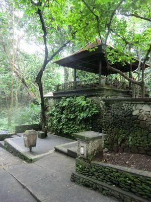 Monkey Forest