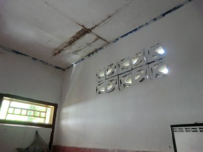 Die mückenfreundlichen Fenster