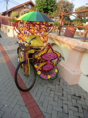 Die bunten Fahrrad Taxis mit lauter monotoner Techno Musik..ein Traum..wer will da nicht gerne 3 Stunden mit fahren.. hahahaha