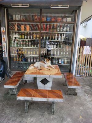Wieder zurück im Ortszentrum..ob er den Alkohol im Laden bewacht ?