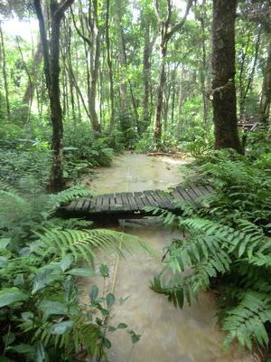 Der Weg zum Wasserfall