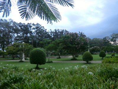 Der Park