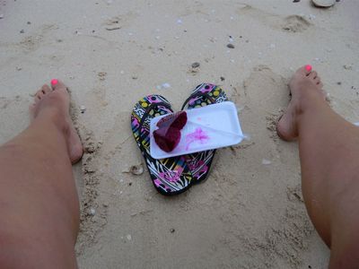 Drachenfrucht zum Abendessen am Strand