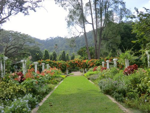Der Rosengarten