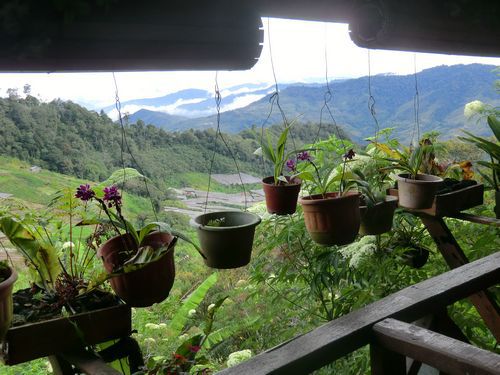 Der Ausblick aus dem Restaurant der "Villa"