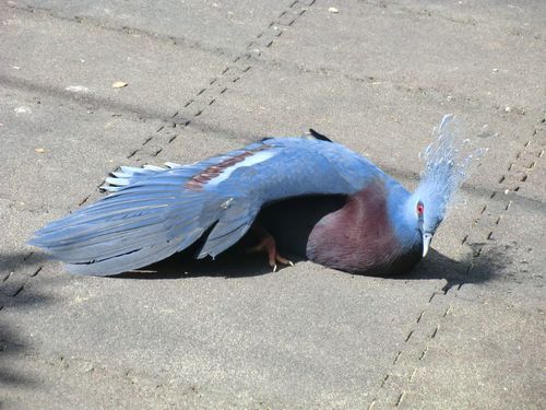 Entspannen auf dem Sonnendeck