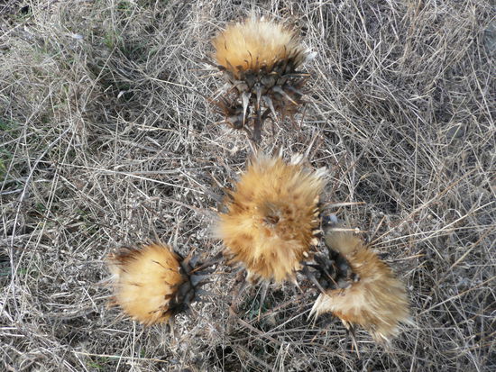 .. Der Beweis, dass der Titel nicht aus der Luft gegriffen ist ....