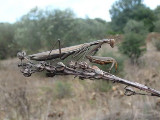 ..kleines Shooting zwischendurch..
Allerdings kam es bei diesem Foto zu einigen Wunden..keine Fragen wenn man an das oberste Bild denkt ...
Aber wir finden es hat sich gelohnt.