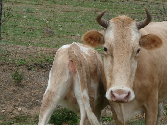 ..Schönheit und Wahrheit können so nah beieinander liegen....