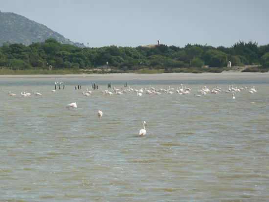 In Villasimus, unserem letzten Ziel vor dem Abflug, waren wir noch eine Nacht und es war einer der schönsten Plätze in den letzten 14 Tagen.
Man muss aber auch sagen, dass dieser Ort von vielen Touristen besucht ist. Ob es in der Hauptsaison auch so schön ist????
Unser B&amp;B war super, nahezu perfekt. Hier die Adresse:  www.bedandbreakfastigraniti.com